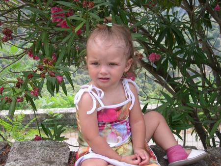 corse 2006